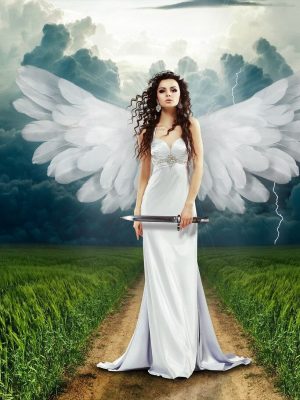ange_demo